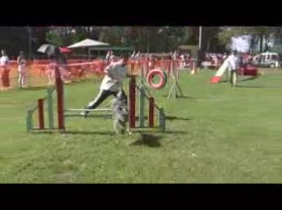 Blueberry Degré Agility St Genix sur Guiers 06/09/2009