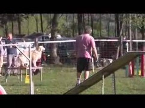 Salsa Open Agility St Genix sur Guiers 06/09/2009