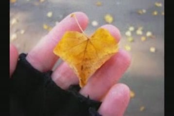 Ex Love - Esra Kahraman