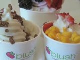 yogurt ice cream Bay Area CA Blush Organic Frozen Yogurt