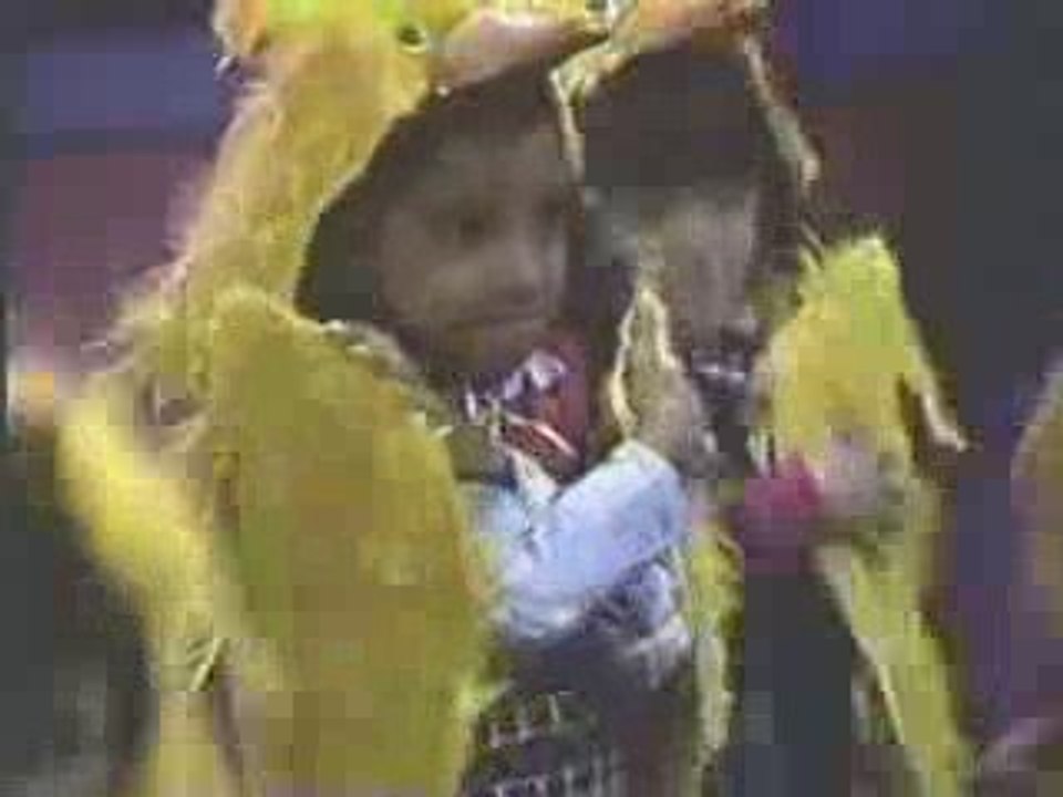 Joe Williams on Sesame Street Birdland Jump video Dailymotion