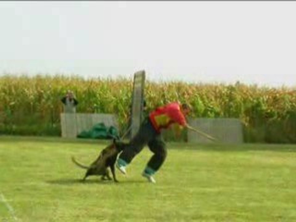 DIAPORAMA CONCOURS VITRY LE FRANCOIS