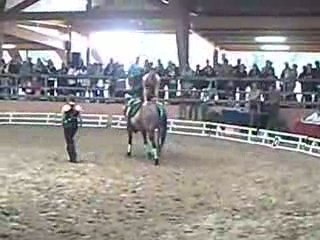 Libre voltige 2  " ROCK"