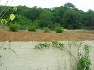 Ziya Özcanlının Evi