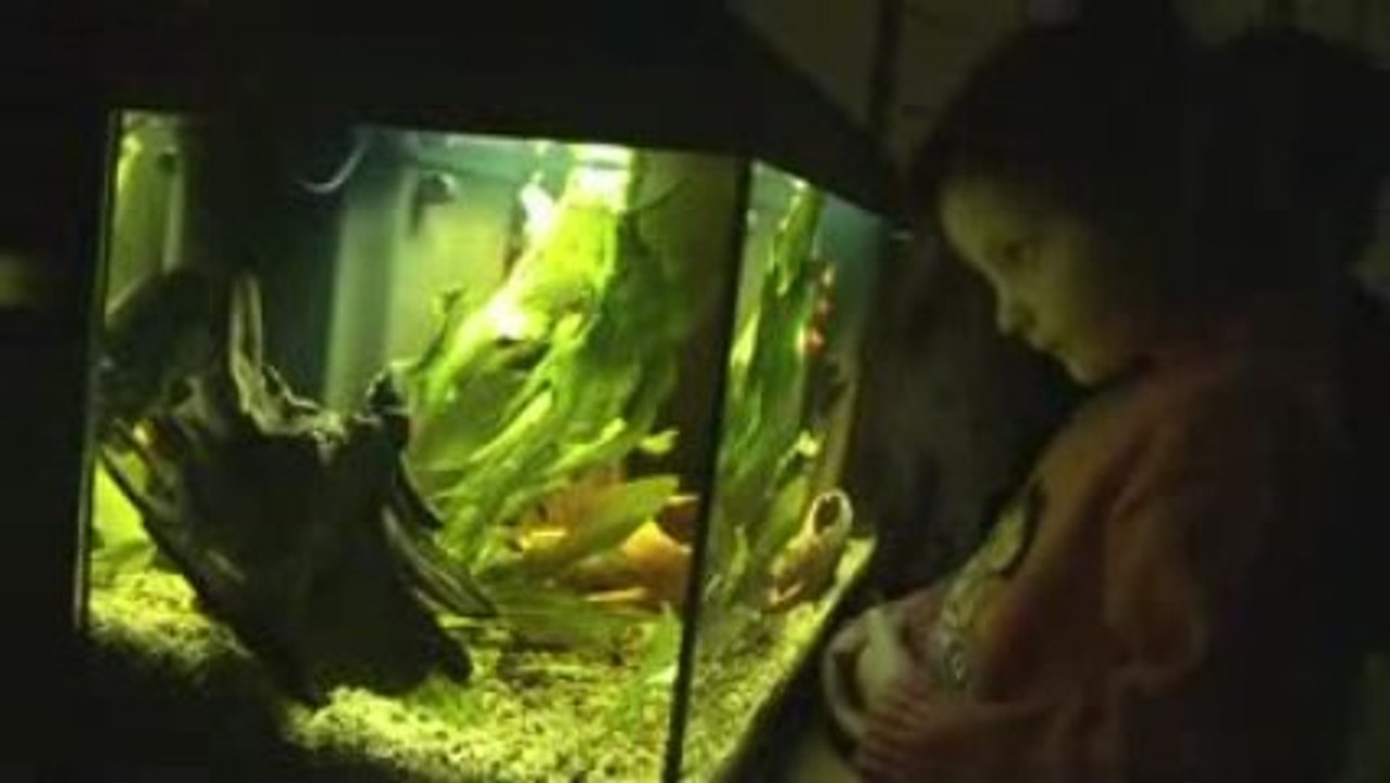 Beauvais, animation sur l'eau
