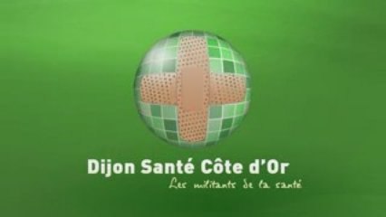 Logo Dijon Santé Côte d'Or (DISCO)