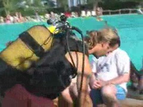 Préparation Plongée Camping Le Soleil Argeles Aout 2009