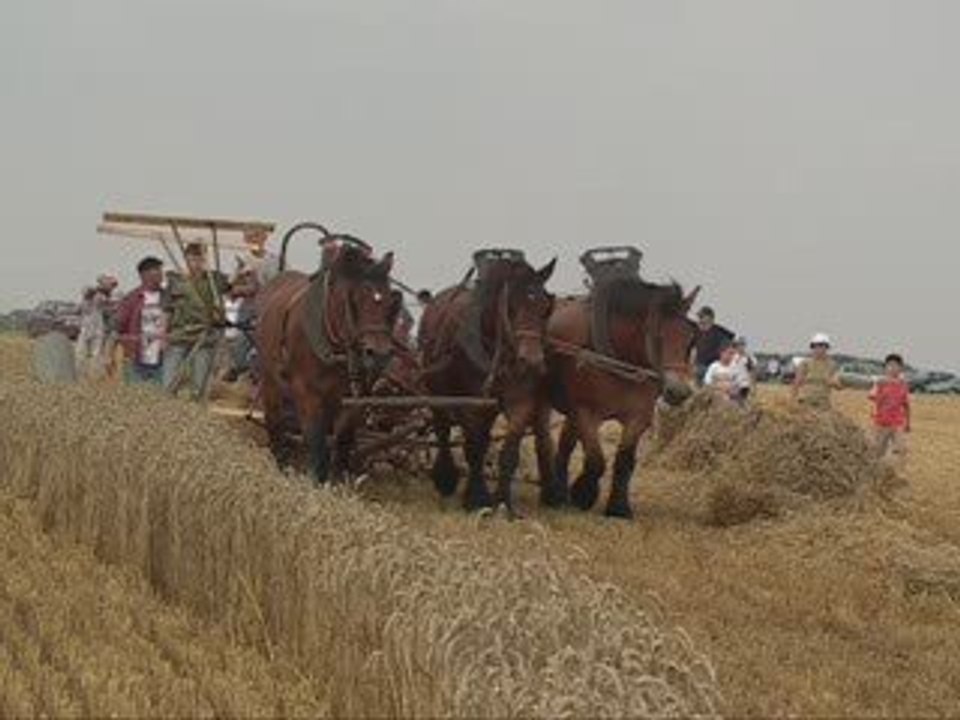 fête de La moisson