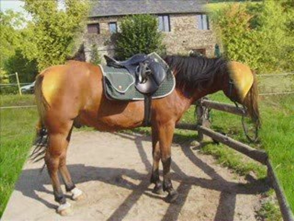 Ougarit de la Mouche