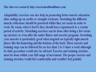 Essential Guide to Exercise & Training Programs 🏋️‍♂️