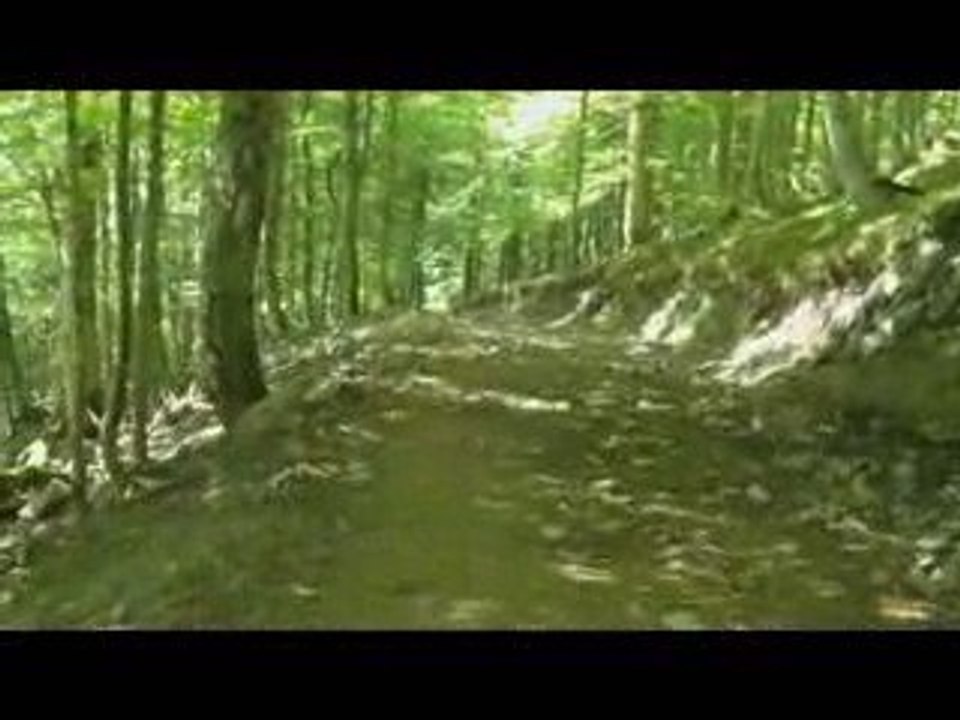 Expérience des limites