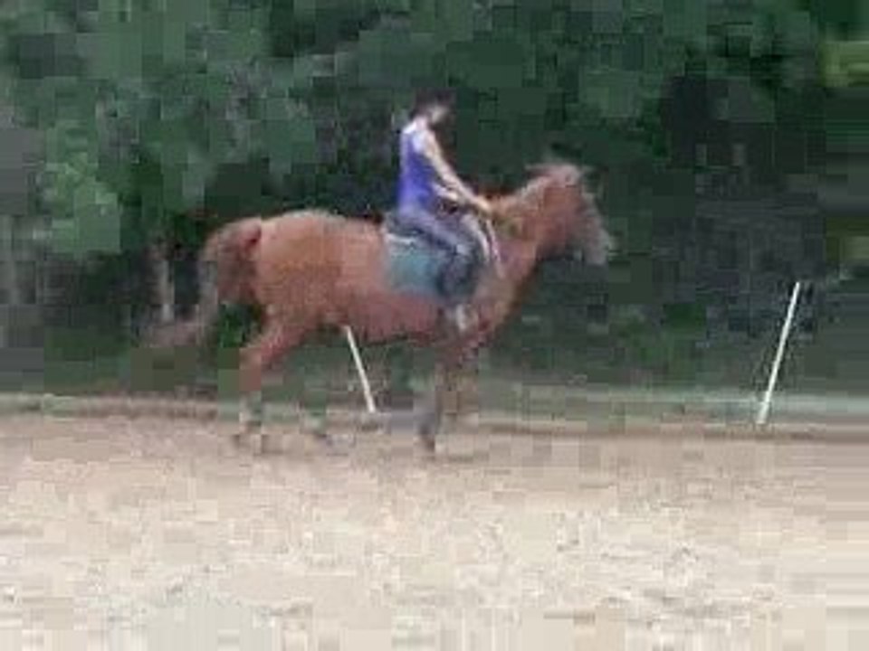 Galope, Galope Poony (L)