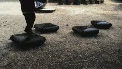 SEPT JEUNES INFIRMIERES RIENT "Played into the zoo"