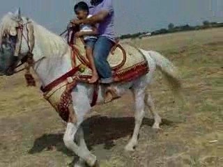 chehab sidi slimane été2009