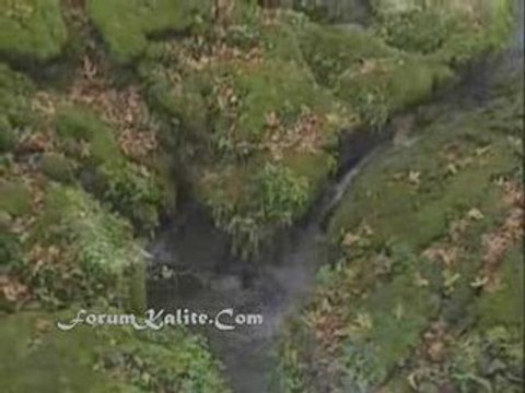 Hasan Dursun - Derdime Dermana Geldim