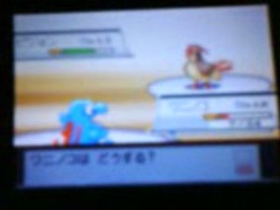 Pokémon âme d'argent