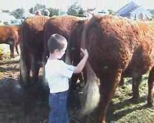 Concours cantonal 2009 Ally_0001