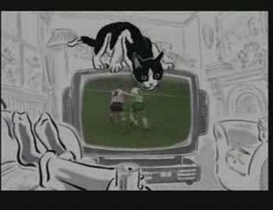 Chat Foot Felix
