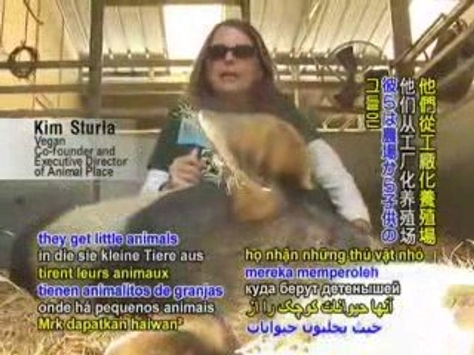 Animal Place: A Loving Refuge for Farmed Animals P1/2