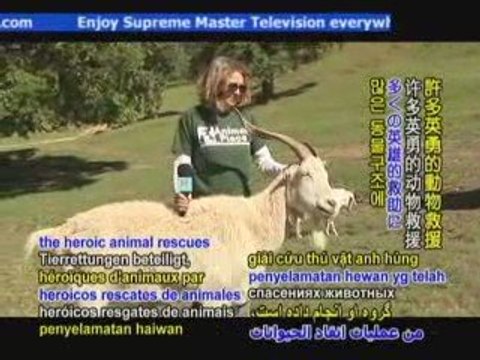 Animal Place: A Loving Refuge for Farmed Animals P2/2