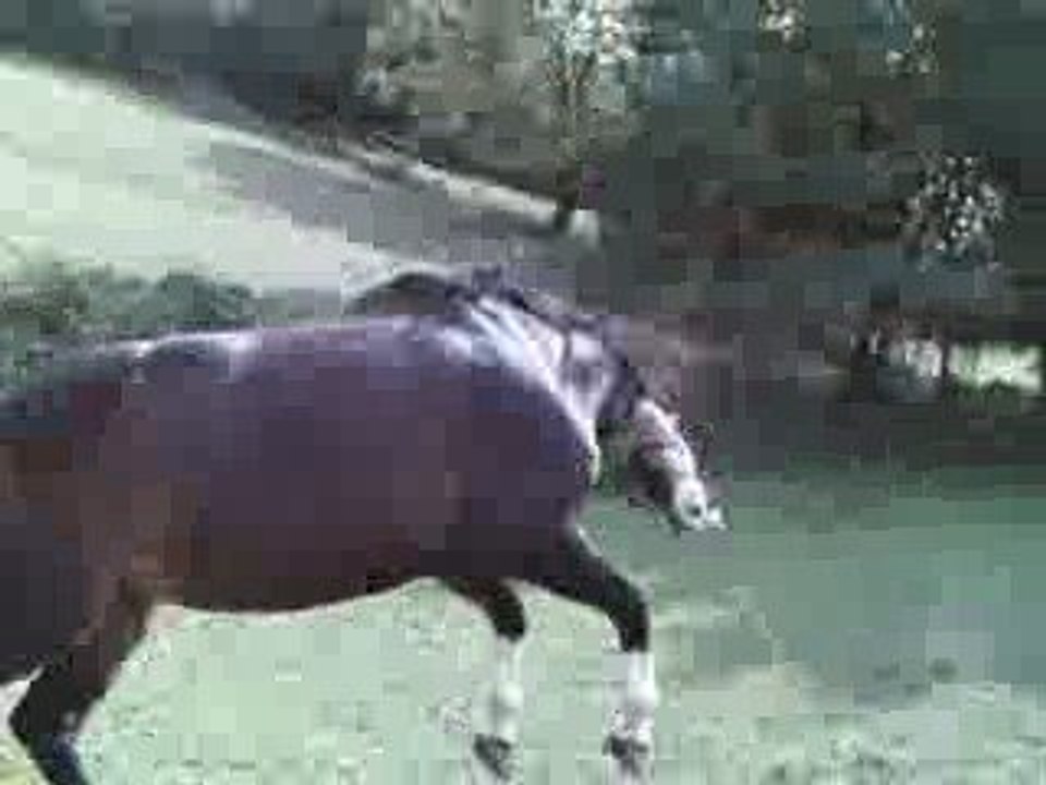 Jeux au pré