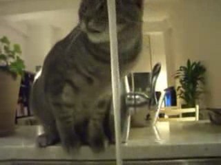 UNE DROLE DE FACON DE BOIRE