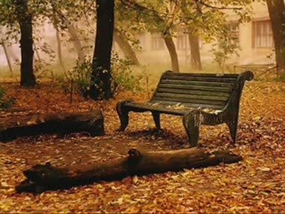 İCLAL AYDIN - BEN SENİ SEVİYORDUM