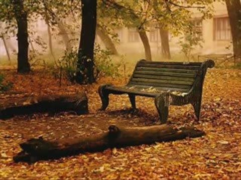 İCLAL AYDIN - BEN SENİ SEVİYORDUM