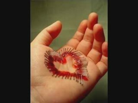 Taner Olgun-Isırgan Otu