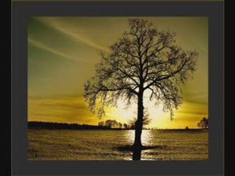 Suavi - Cem Karaca - Sende Başını Alıp Gitme Ne Olur