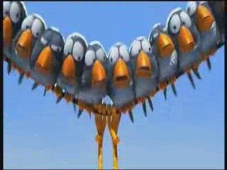 Birds North America Filtering Air For Pet Birds Necessary fo