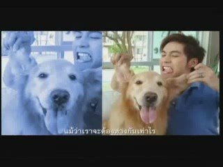 Movie_00_(สัญญาณของหัวใจ)