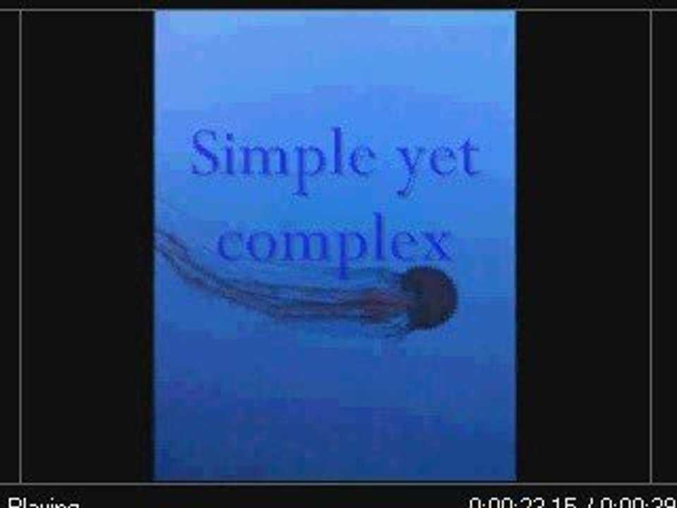 Groupcrenshaw
