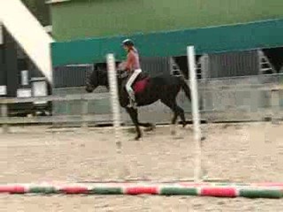 MVI_8982.AVI