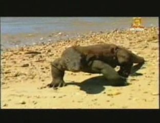 Veneno de lagartos: Evolucion