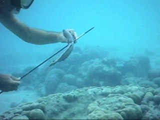 40 jours en Nouvelle Calédonnie acte 1