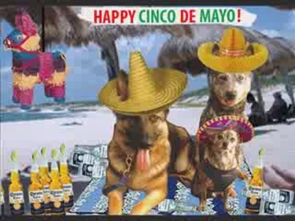 Cinco De Mayo