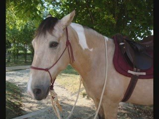 24 Événements du 24 et 25 septembre 📅