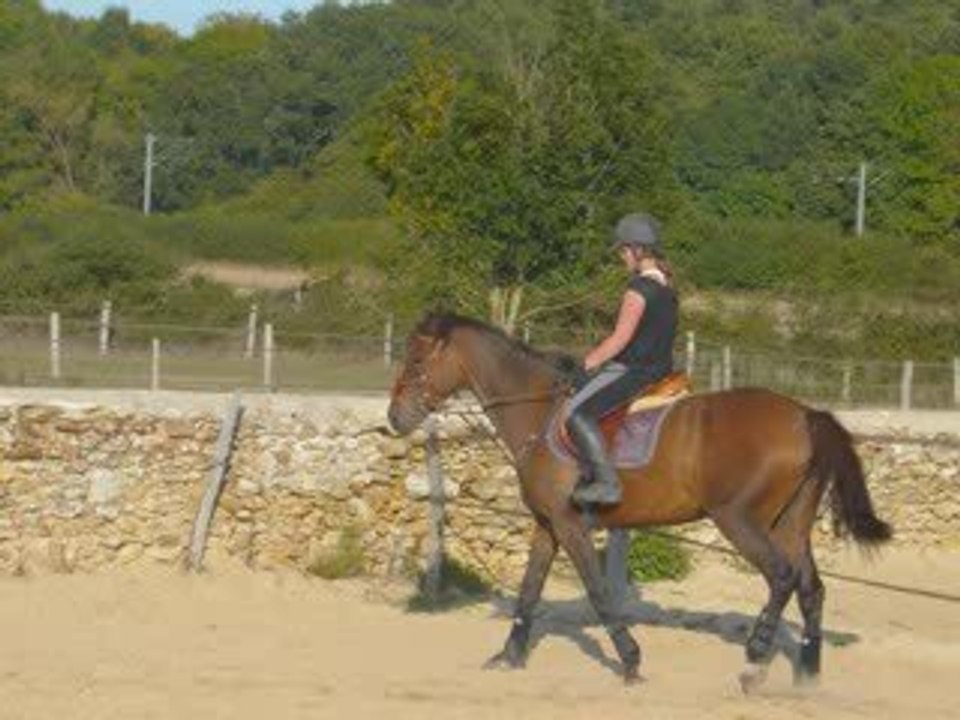 Une chance, un ange, un cheval, Ma jument ...