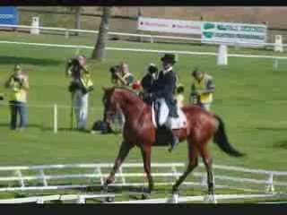 25 09 09 dressage Touzaint