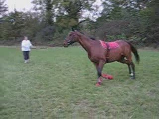 Photo 056  longer Silver