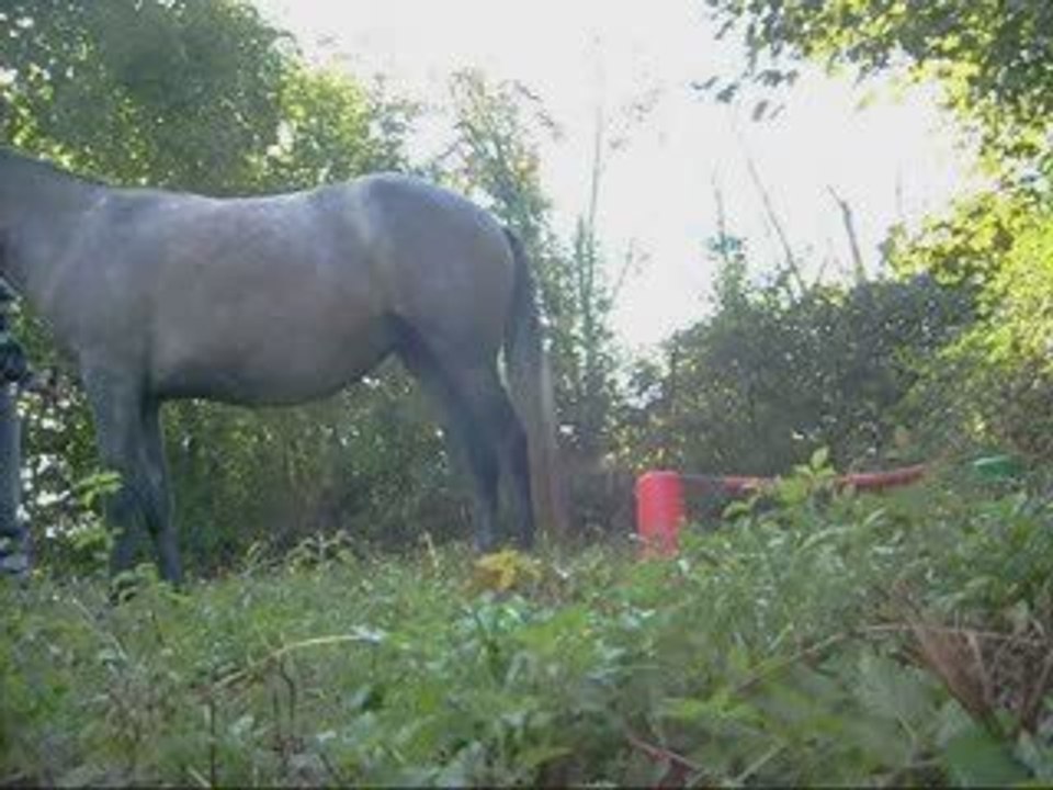 Sapho, 16&20.09.09