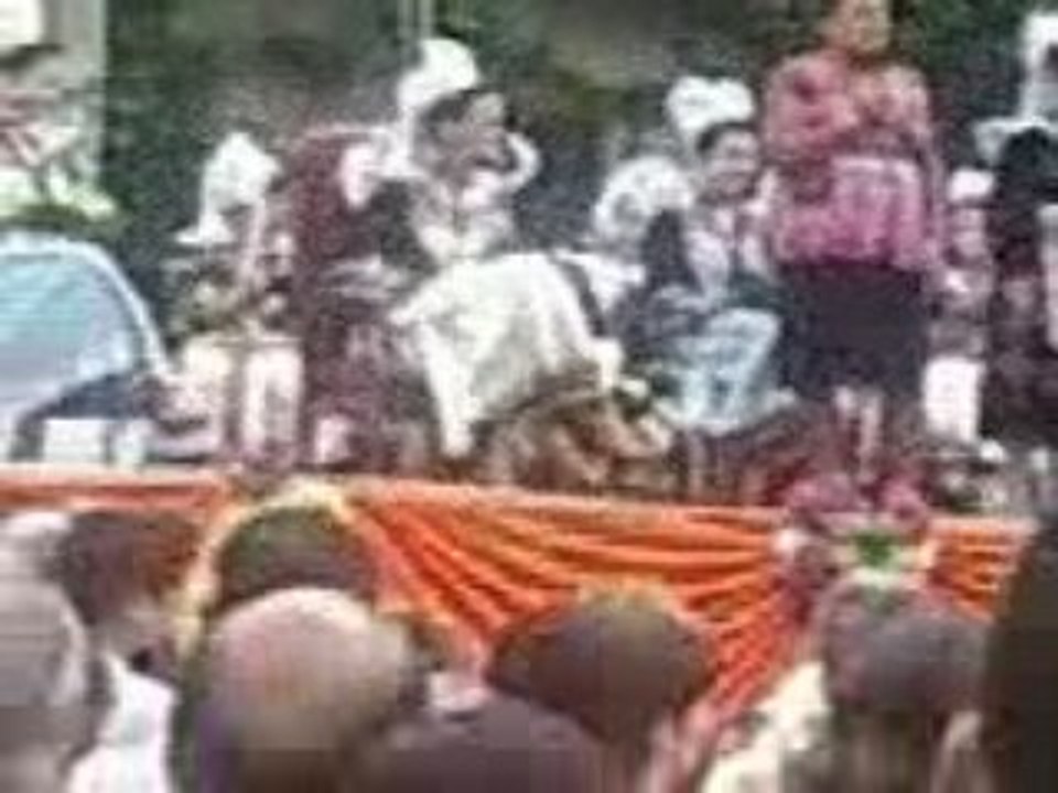 pays breton du côté de pont aven ,les ajoncs 2009