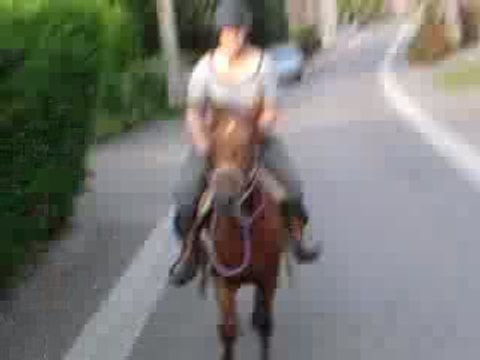 1ere ballade de Seven - 7 septembre 2009 - Au trot