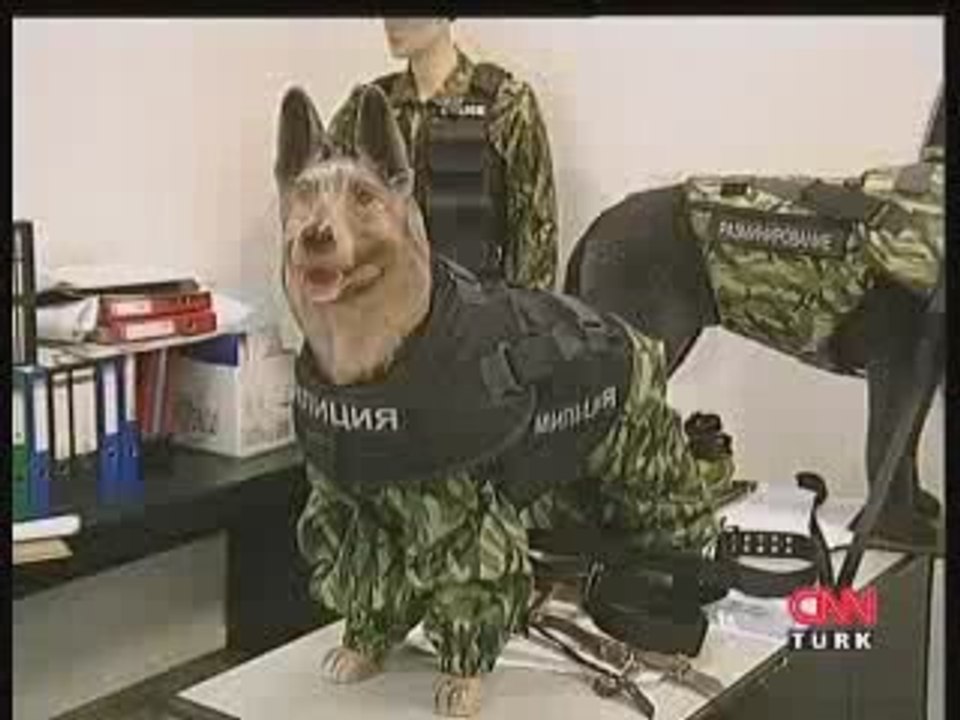 Ruslardan Polis Köpeklerine Zırhlı Yelek