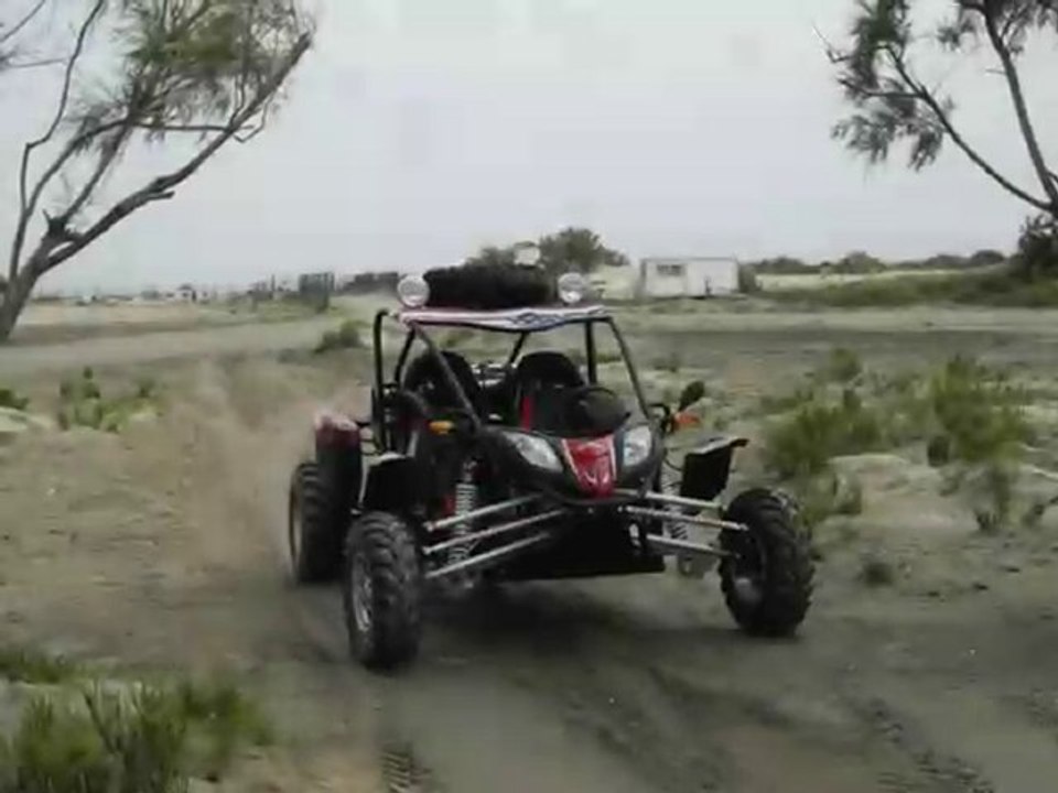 CAMARGUE BEAUDUC MAI 2009