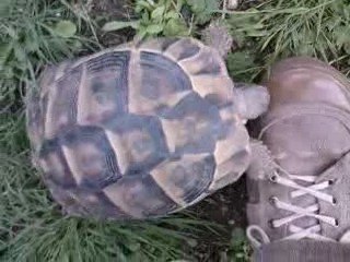 marguerite elle était trop chelou