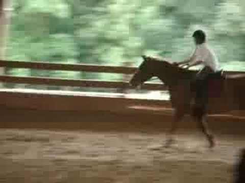 Haras de Val en Pré - Moi & Laracas