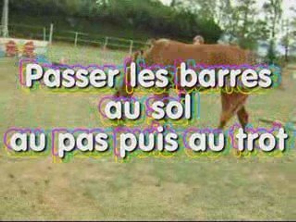 tacticale cat ses 1 mois au centre