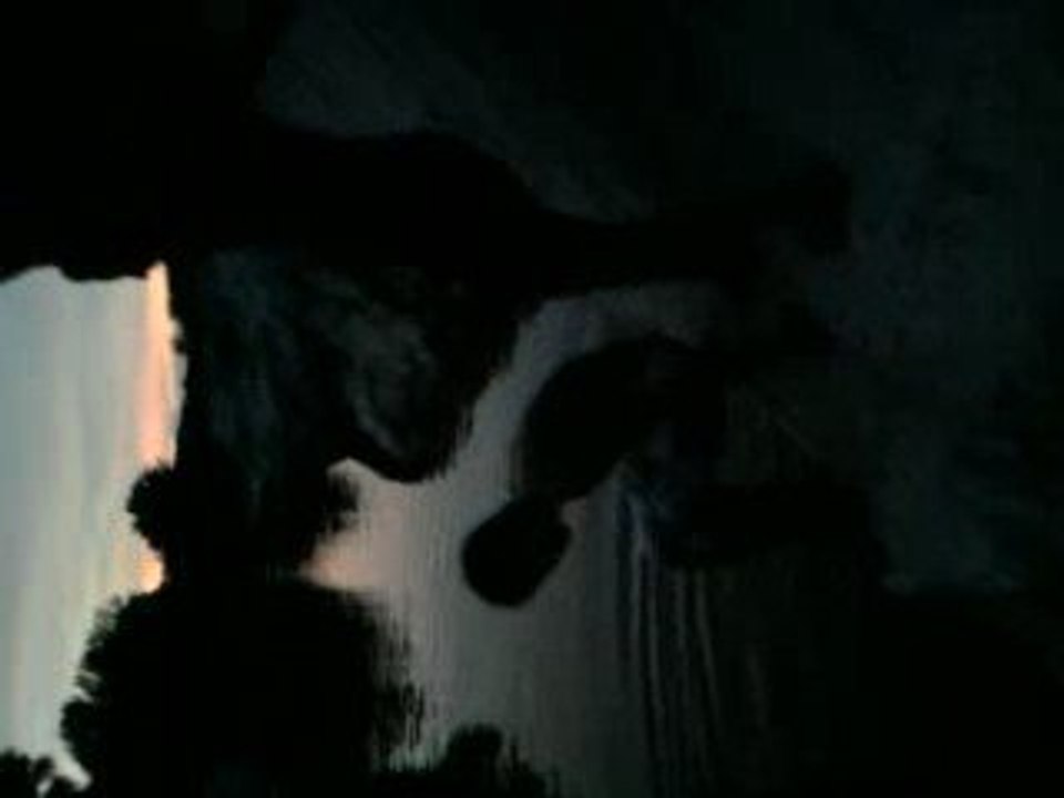 2.spii